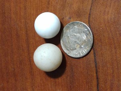 Gulf of Mexico pearls