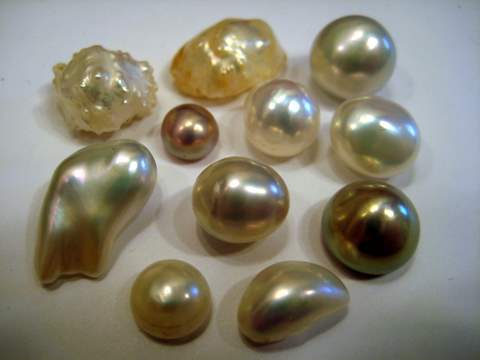 High Luster Natural Freshwater Pearls
