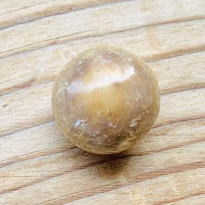 Big Brown Conch Pearl Perfect Disk Shape