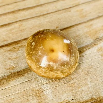 Big Brown Conch Pearl Perfect Disk Shape