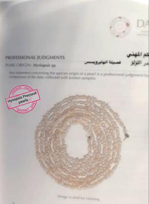 Hyriopsis pearls Necklace 