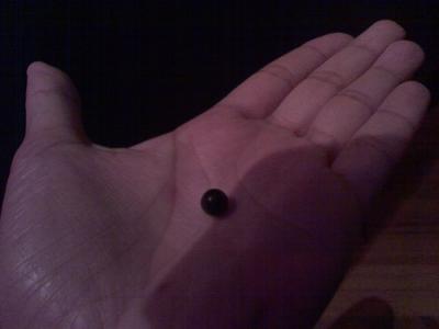 I Found  a Black Pearl in an Oyster!