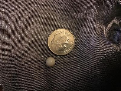 I  found a Quahog PearlToo