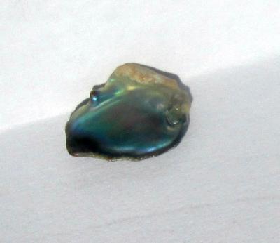 Iridescent Abalone Pearl 1 carat for Sale