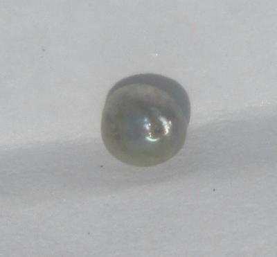 0.25 carat iridescent button shape abalone pearl