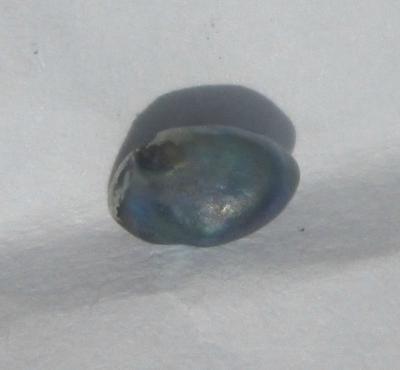 0.25 carat abalone pearl