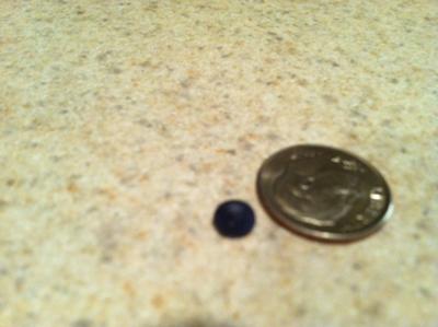 Is this a quahog pearl?