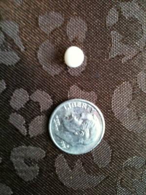 Katrina Oyster Pearl