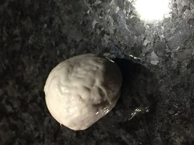 King crab pearl found in a leg.