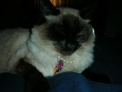 Cho in her newly strung pearls