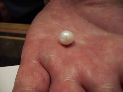 Lake Pepin Natural Pearl Lake Pepin Natural Pearl