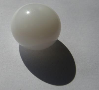 20.24 carats Natural Clam Pearl 14mm