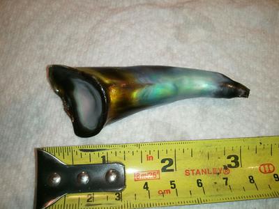 Large abalone pearl