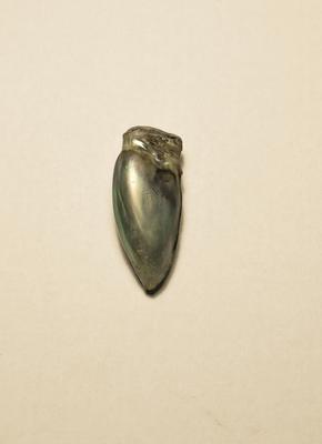 large abalone pearl with great color!