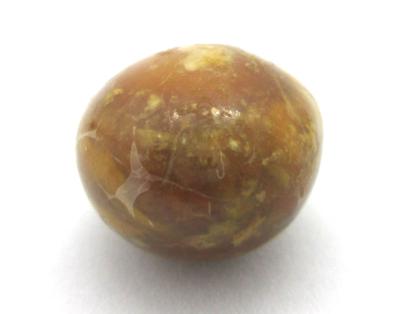 Large Brown Conch Pearl 10 carats