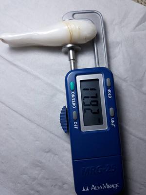 clam pearl 199.45ct with flame for sale