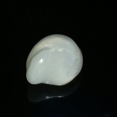 Large Clam Pearl 41 ct 23mm for Sale