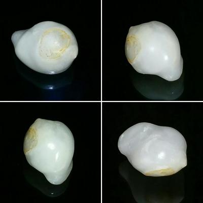 Large Clam Pearl 41 ct 23mm for Sale