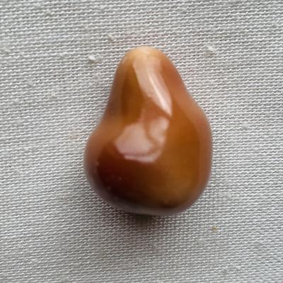 Large Drop Brown Conch Pearl 46 carats 23mm