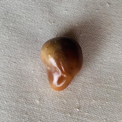 Large Drop Brown Conch Pearl 46 carats 23mm