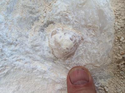 Natural Fossil Blister Pearl