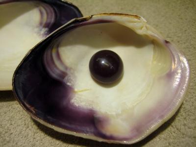Image result for Purple Pearl in shell