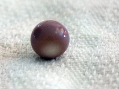 Purple & White Quahog Pearl