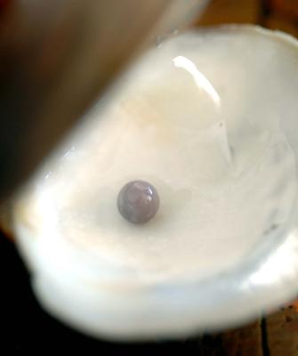 Leslie Brock's Rare Purple Pearl Find