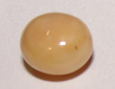 Light Brown Conch Pearl 2.6 carats