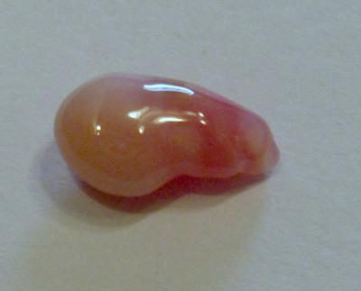 2.34 carat conch pearl