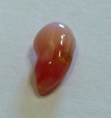 2.34 carat conch pearl