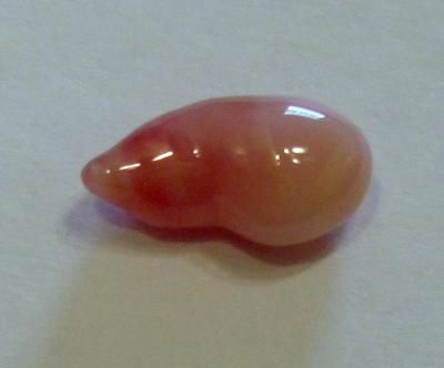 2.34 carat conch pearl