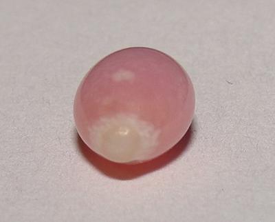 Light Pink Conch Pearl 10mm