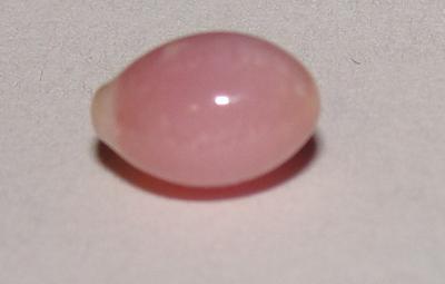 Light Pink Conch Pearl 10mm