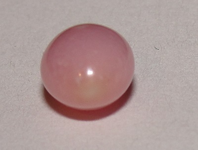 Light Pink Conch Pearl 10mm