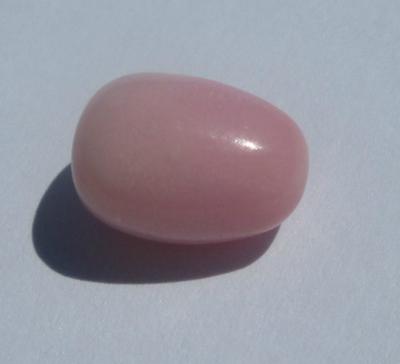Conch Pearl