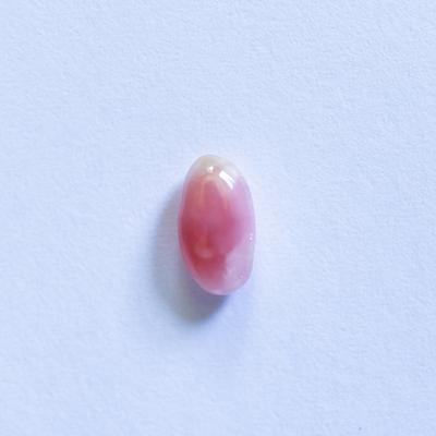Light Pink Conch Pearl oval 1+ carat 6mm 