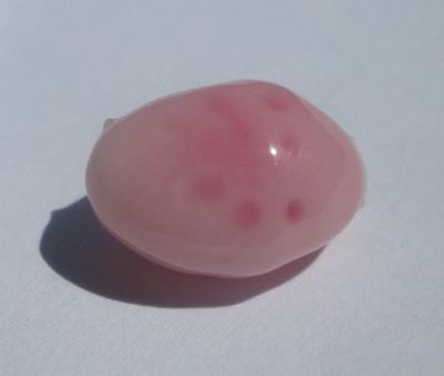 Light Pink Conch Pearl with Dark Pink Spots 6.86 carats
