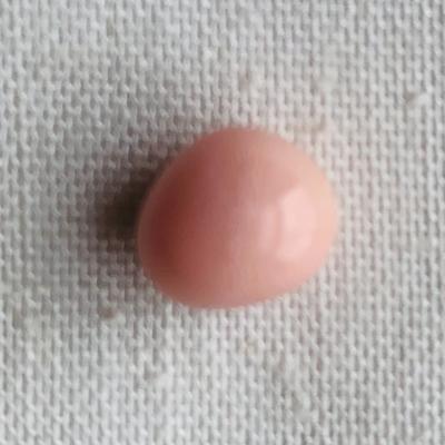 Light pink conch pearl with flame 5+ carats