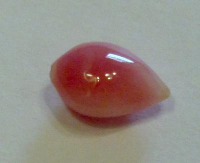 1.33 carat conch pearl