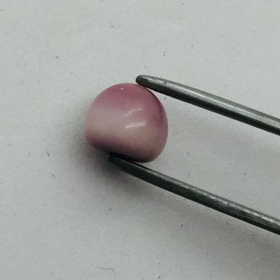 quahog pearl