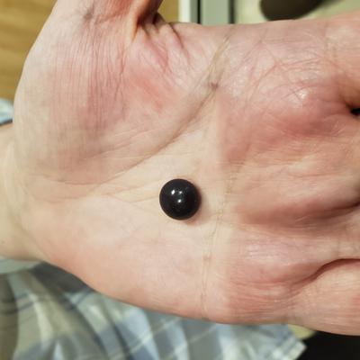 little neck clam pearl