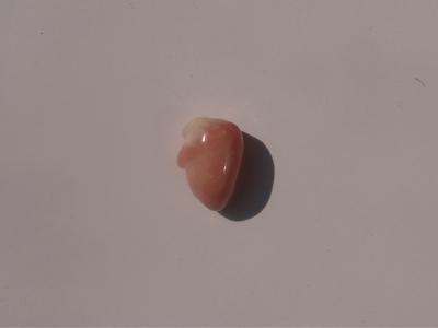  Lot of 2 Beautiful Pearls 21+ct Light Pink /Orangy Pink