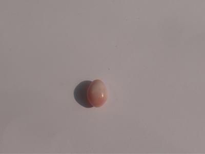  Lot of 2 Beautiful Pearls 21+ct Light Pink /Orangy Pink