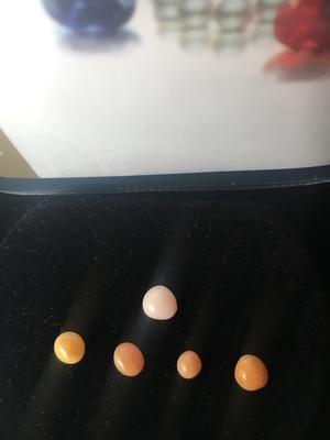 Lot of 5 Conch Pearls Rare & Unique 