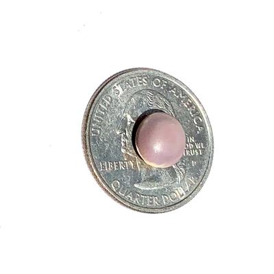 Lovely Lavender Quahog Button Pearl 9mm
