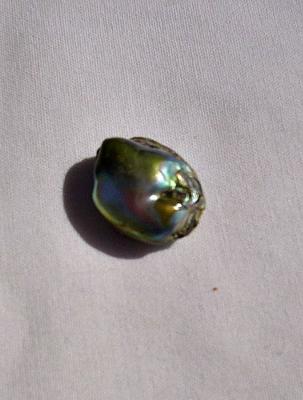 roundish abalone pearl