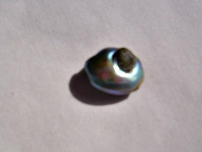 6.5ct abalone pearl