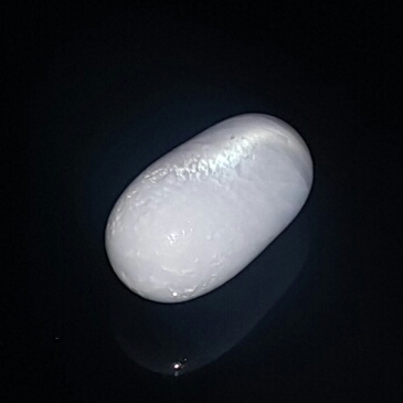 Magnificent Clam Pearl 15+ ct