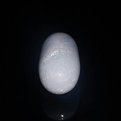 Magnificent Clam Pearl 15+ ct